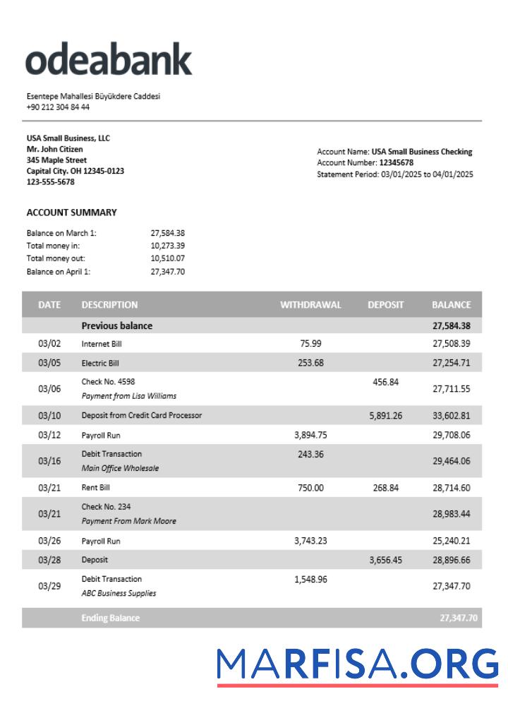 Realistic Turkey Odeabank firm account statement Word and PDF template